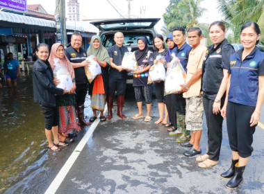 การประชุมติดตาม ... พารามิเตอร์รูปภาพ 19